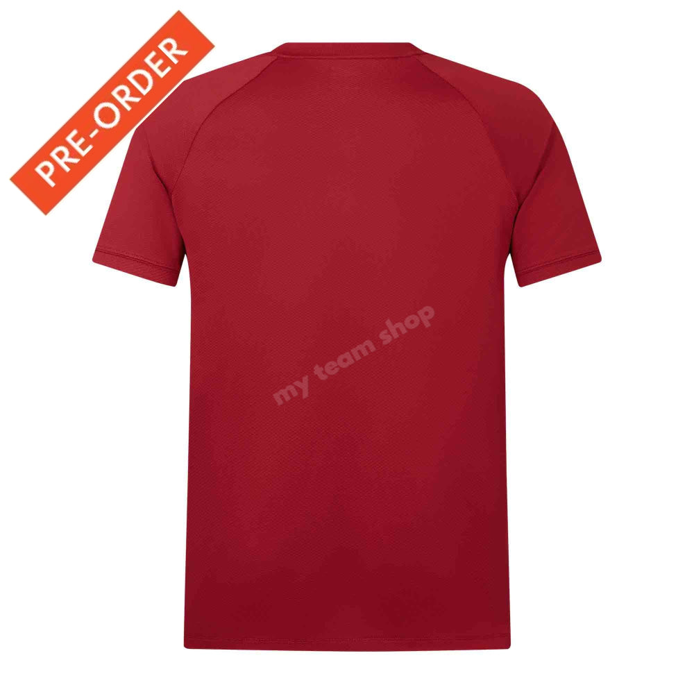 BRITISH & IRISH LIONS CCC POLO RED Rugby Polo
