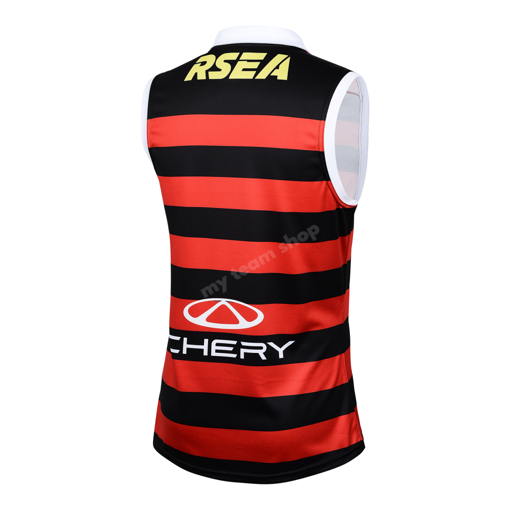 ST KILDA SAINTS 2025 AFL GATHER ROUND GUERNSEY AFL Guernsey